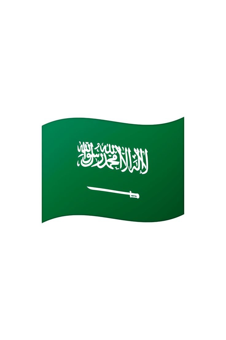 Saudi Arabia Flag
