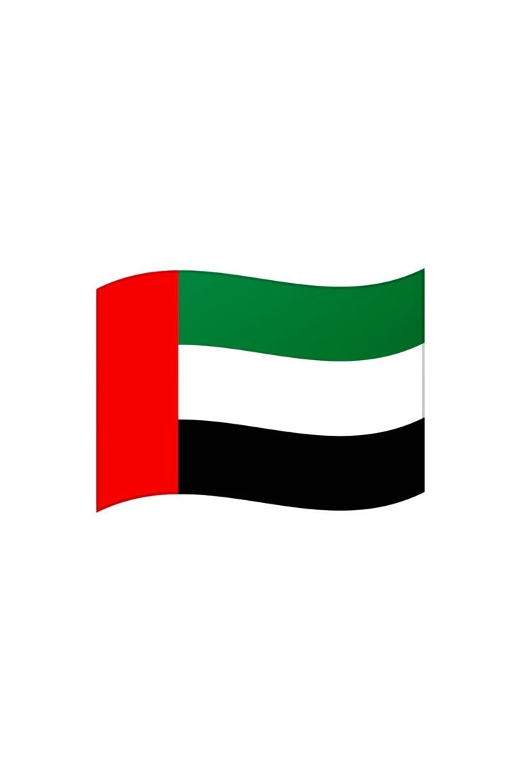 UAE Flag